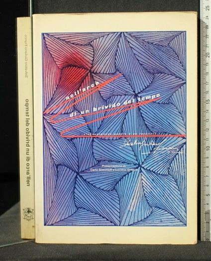 Nell'Arco di Un Brivido Del Tempo - Nell'Arco di Un Brivido Del Tempo di: Salvatore Giuliano Franco - copertina