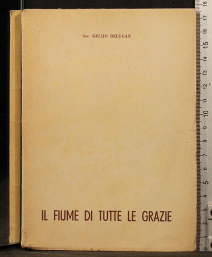Il fiume di tutte le grazie - fiume di tutte le grazie di: San Giulio Delugan - copertina