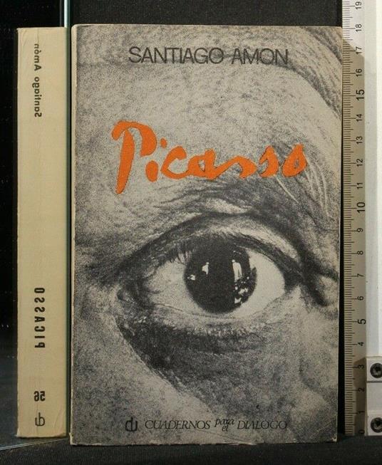 Picasso - Santiago Amon - copertina