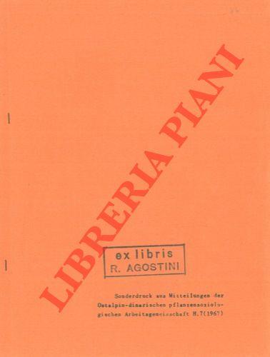Libreria Piani