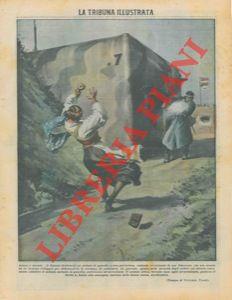 Libreria Piani