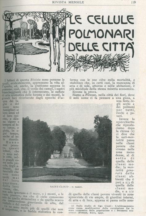 Le cellule polmonari delle città
