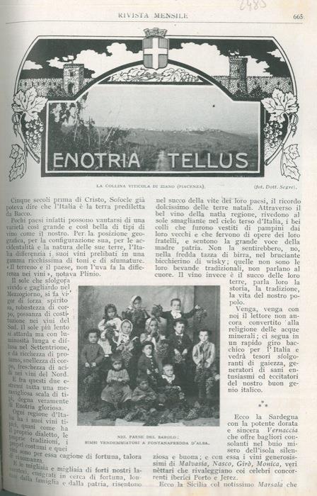 Enotria Tellus