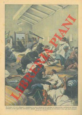 Libreria Piani