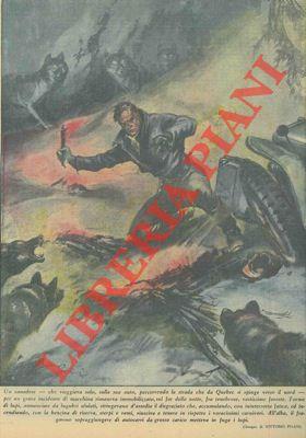 Libreria Piani