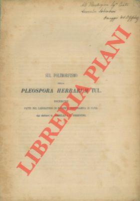 Libreria Piani