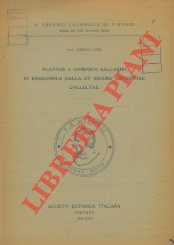 Plantae a Dominico Saccardo in regionibus galla et sidama abyssiniae collectae