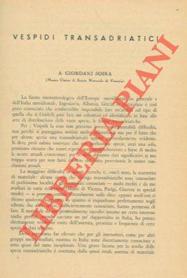 Libreria Piani