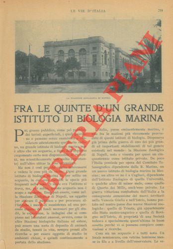 Fra le quinte d'un grande Istituto di Biologia Marina (a Napoli)