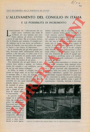 I licheni e la malattia delle vetrate antiche