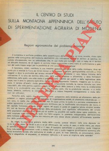 Libreria Piani