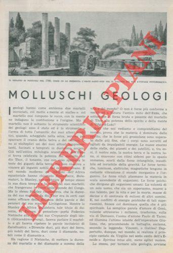 Libreria Piani