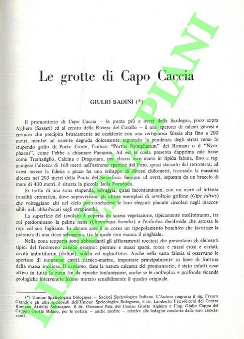 Libreria Piani