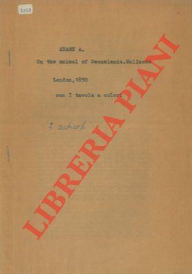 Descriptions of new species of shells from the Cumingian Collection