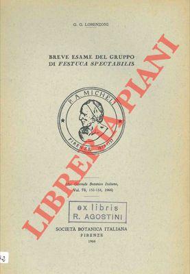 Breve esame del gruppo di Festuca Spectabilis