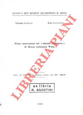 Prime osservazioni sul "sistema conduttore" di Mnium Undulatum" Weiss
