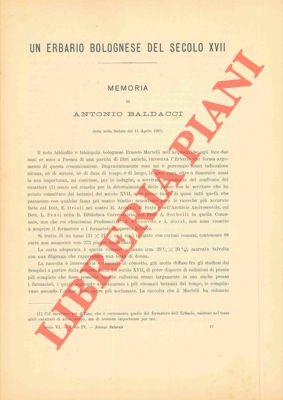 Un erbario bolognese del secolo XVII