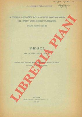 Pesci. "Spedizione zoologica del Marchese Saverio Patrizi nel Basso Giuba e nell'Oltregiuba."