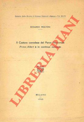 Libreria Piani