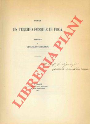 Libreria Piani