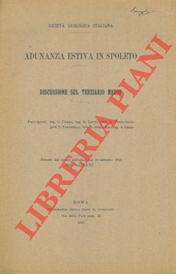 Discussione sul terziario medio