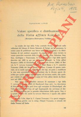 Valore specifico e distribuzione della Velia affinis kolenati (Hemiptera heteroptera, veliidae)