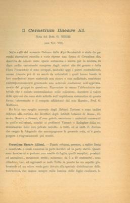 Il Cerastium lineare All