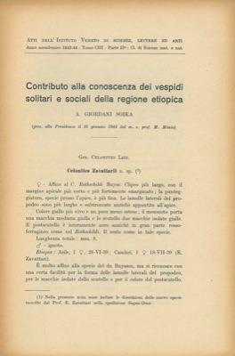 Contributo alla conoscenza dei vespidi solitari e sociali della regione etiopica