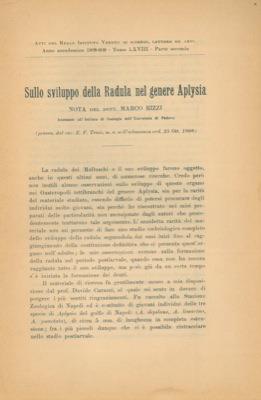 Sullo sviluppo della Radula nel genere Aplysia