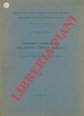 Libreria Piani