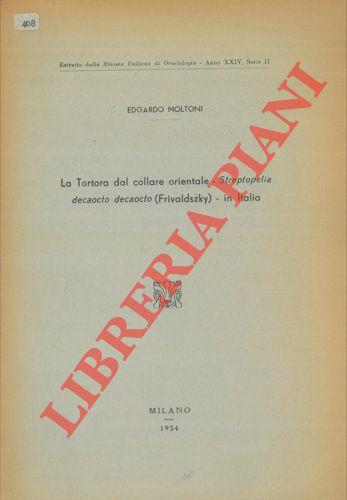 Libreria Piani