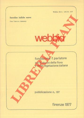 Santoline italiche nuove