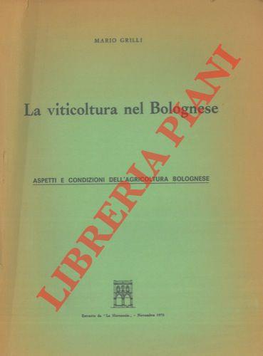 Libreria Piani