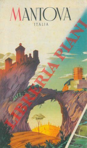 Mantova = La provincia di Mantova