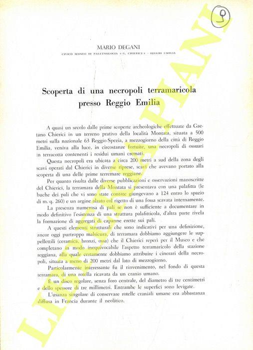 Scoperta di una necropoli terramaricola presso Reggio Emilia