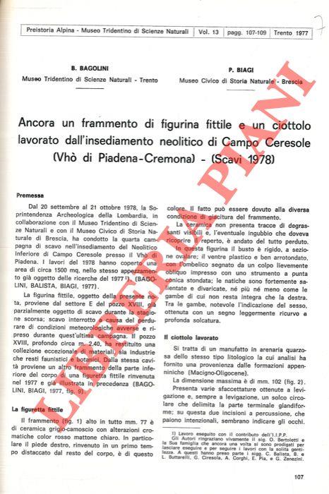 Libreria Piani