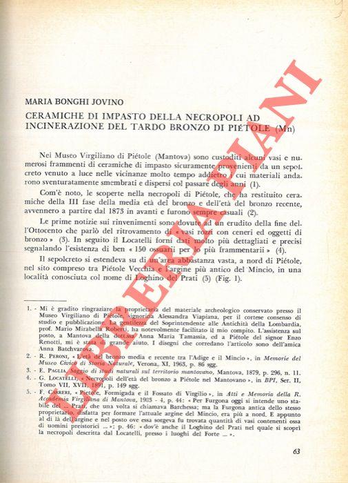 Ceramiche di impasto della necropoli ad incinerazione del tardo Bronzo di Pietole (Mn)