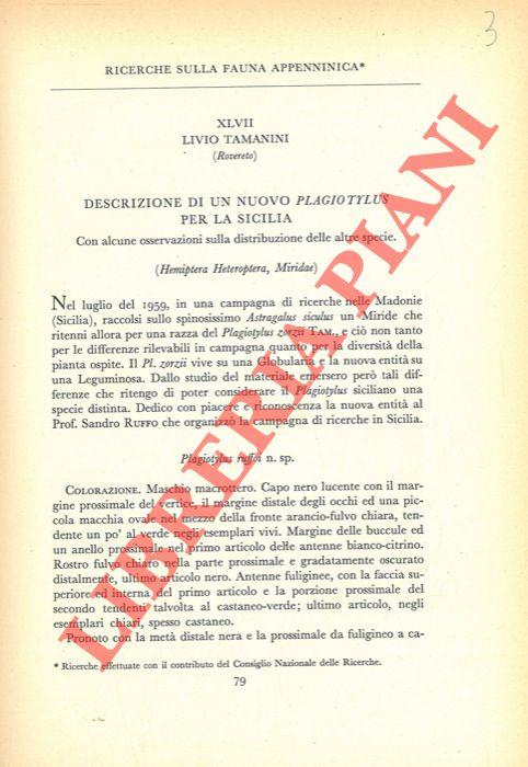 Ricerche sulla fauna appenninica. Descrizione di un nuovo Plagiotylus per la Sicilia