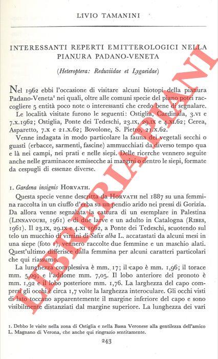 Interessanti reperti emitterologici nella Pianura Padano-Veneta (Heteroptera: Reduviidae et Lygaeidae)