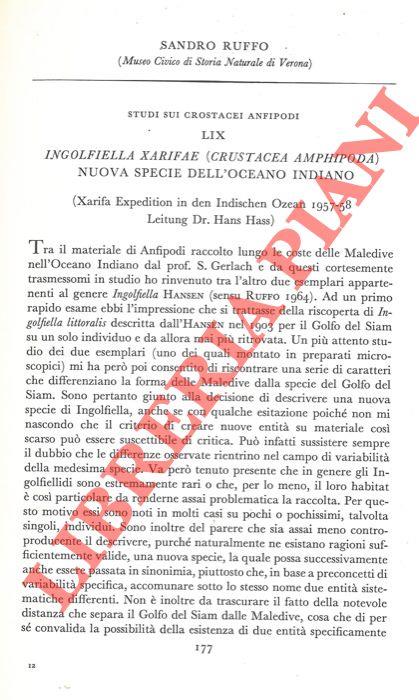 Studio sui Crostacei anfipodi. Ingolfiella xarifae (Crustacea Amphipoda) nuova specie dell'Oceano Indiano