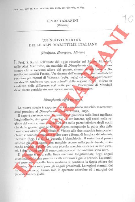 Un nuovo Miridae delle Alpi Marittime italiane (Hemiptera Heteroptera Miridae)