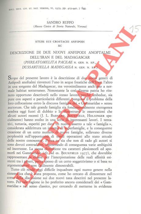 Descrizione di due nuovi Anfipodi anoftalmi dell'Iran e del Madagascar (Phreatomelita paceae n.gen.n. sp., Dussartiella madegassa n.gen.n.sp.)