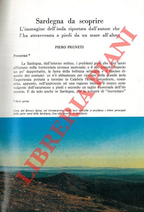 Libreria Piani
