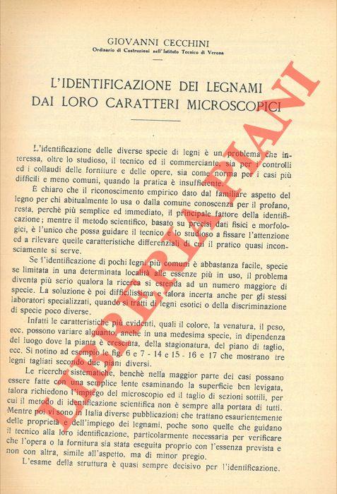 Libreria Piani