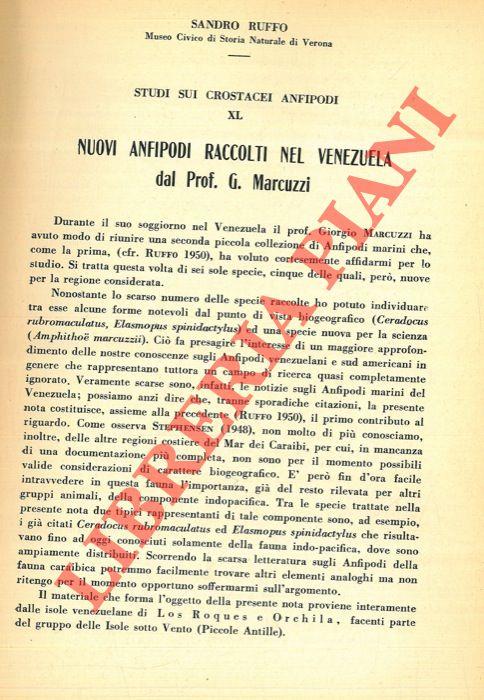 Nuovi anfipodi raccolti nel Venezuela dal prof. G. Marcuzzi