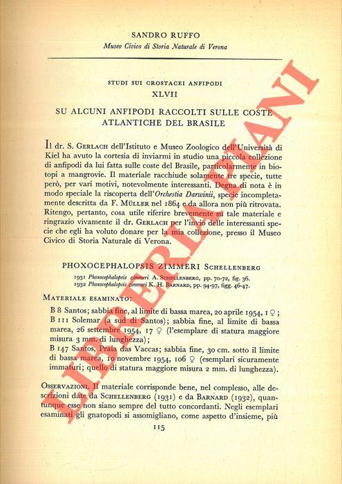 Su alcuni Anfipodi raccolti sulle coste atlantiche del Brasile