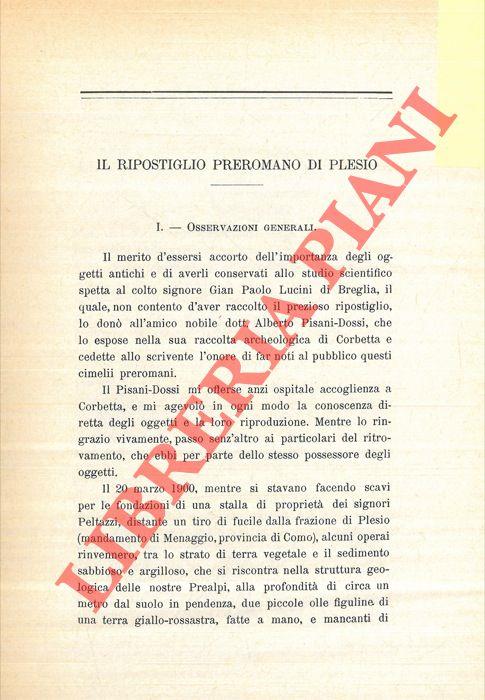 Il ripostiglio preromani di Plesio