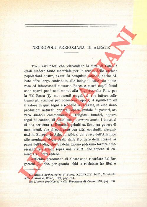Necropoli preromana di Albate. Nuove scoperte nella necropoli preromana di Albate