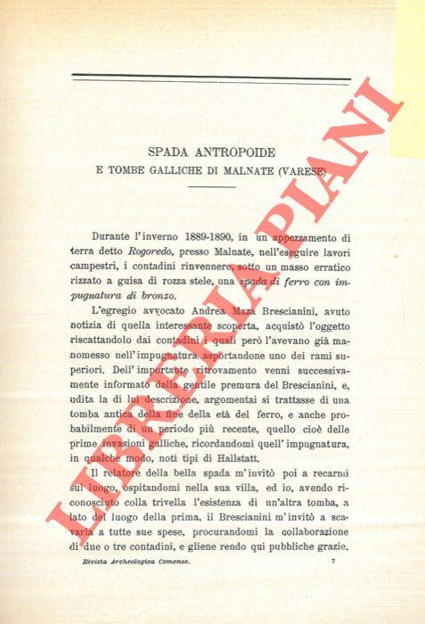 Spada antropoide e tombe galliche di Malnate (Varese)