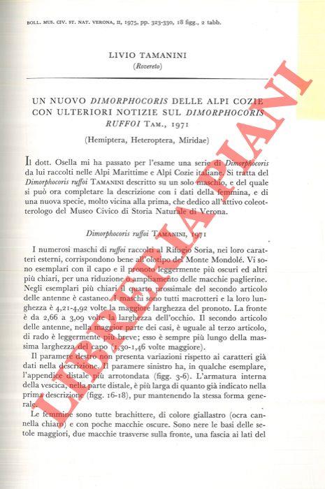 Un nuovo Dimorphocoris delle Alpi Cozie con ulteriori notizie sul Dimorphocoris ruffoi Tam.1971. (Hemiptera, Heteroptera, Miridae)